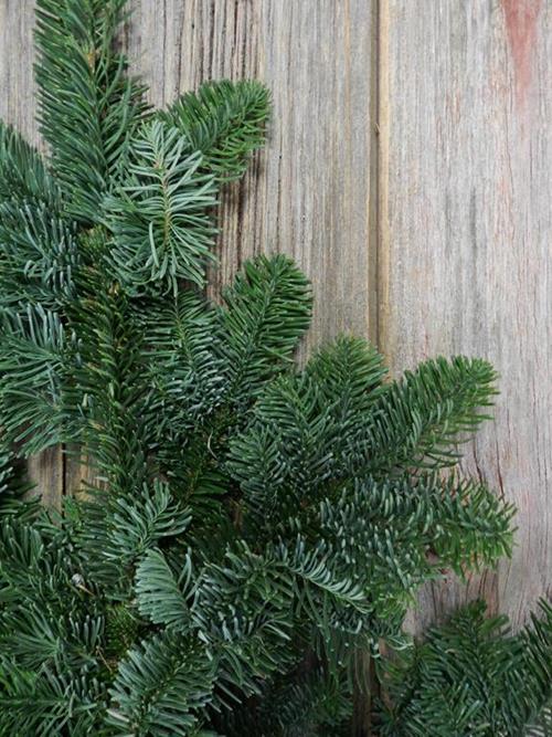 DOUGLAS FIR 25#   CHRISTMAS GREENS